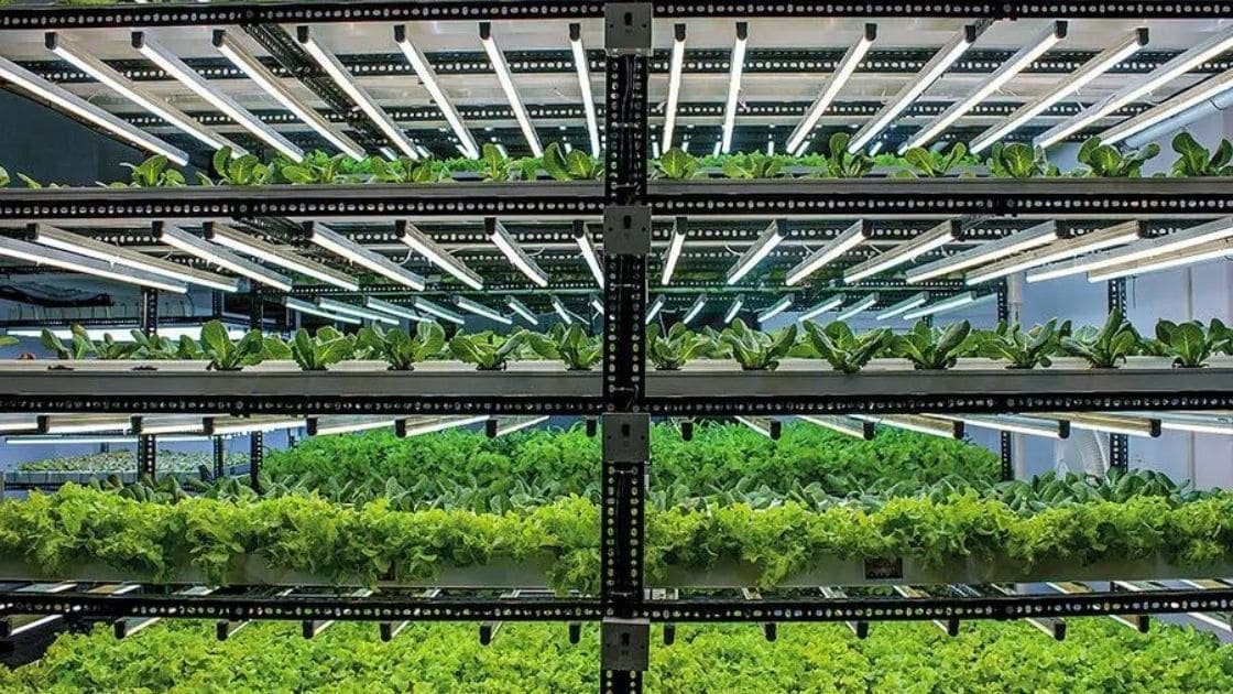 Modern Farming & Urban Agriculture